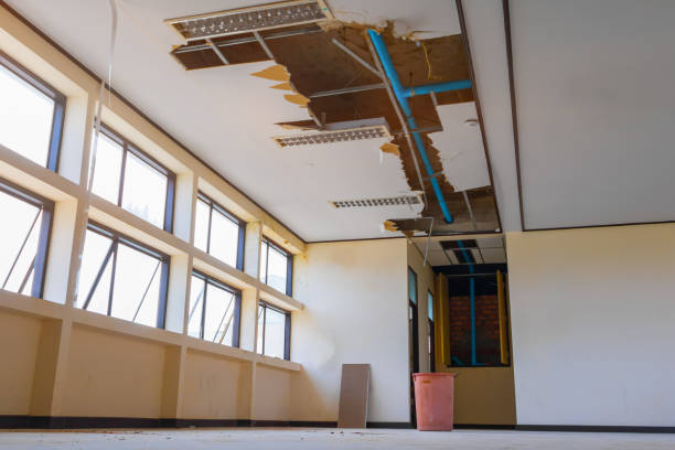 Best Ceiling water damage repair  in Urbancrest, OH