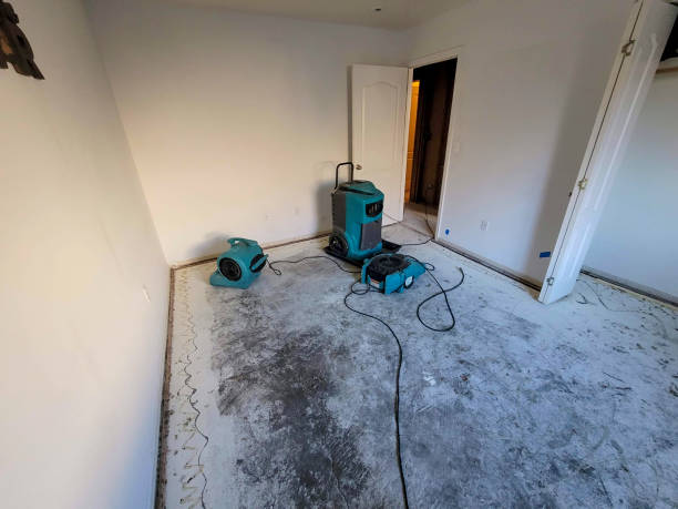 Best Fire Damage Restoration  in Urbancrest, OH
