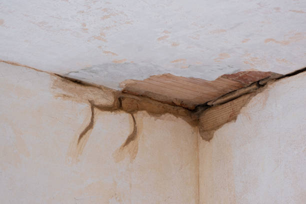 Best Flooded house restoration  in Urbancrest, OH
