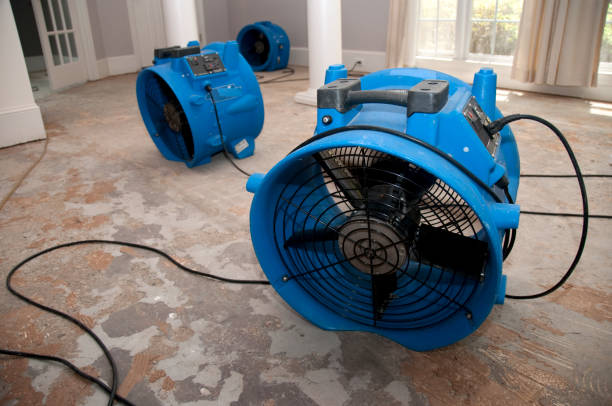 Water damage restoration mold remediation in Urbancrest, OH