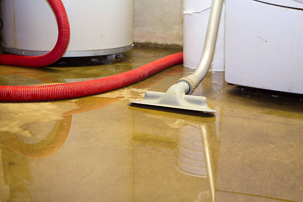 Best Water damage restoration mold remediation  in Urbancrest, OH