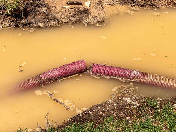 Best 24/7 water damage repair  in Urbancrest, OH