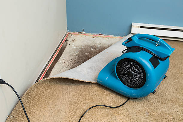 Trusted Urbancrest, OH Water damage restoration Experts